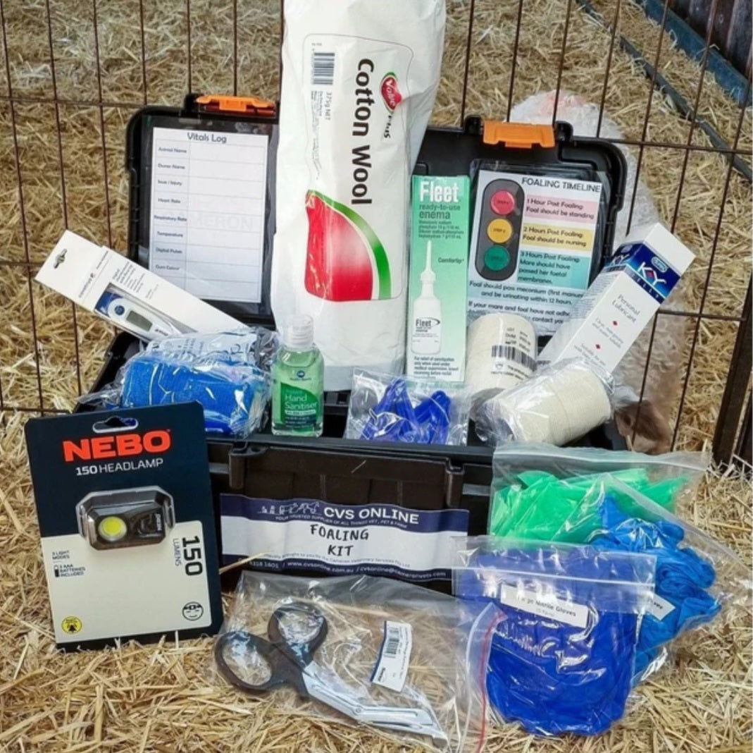 First Aid/Kits