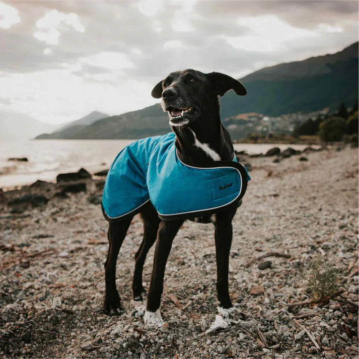 Dog - Coats & Bedding