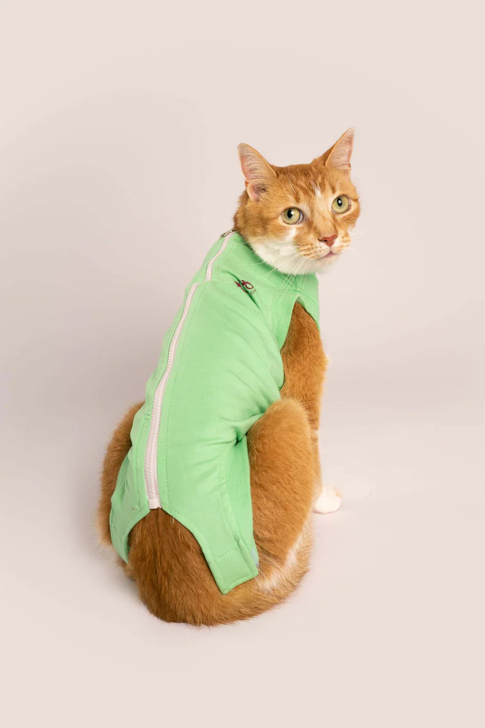 Cat - Recovery Suits