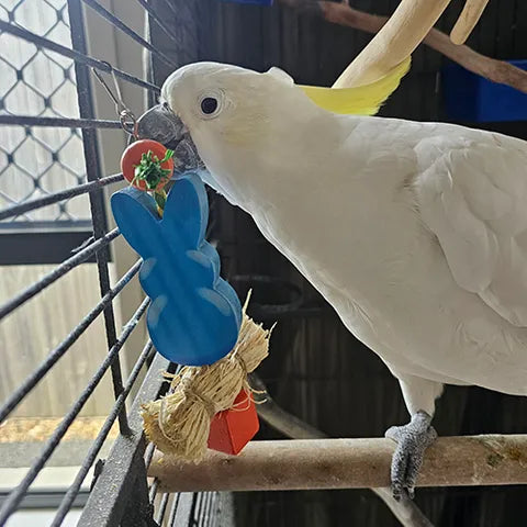 SMALL ANIMAL/BIRD TOY - CHEW - BUNNY