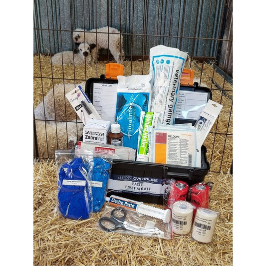 First Aid Kit - Standard