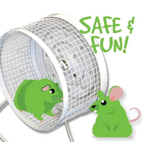Small Animal Exercise Wheel