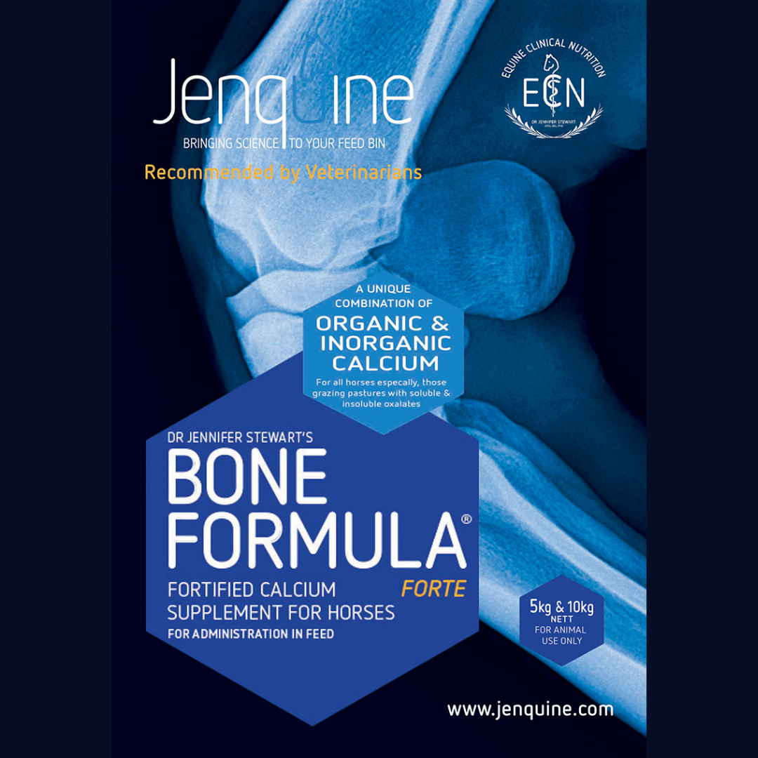 JENQUINE BONE FORMULA FORTE