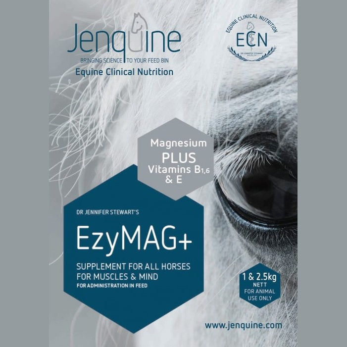 JENQUINE EZYMAG+