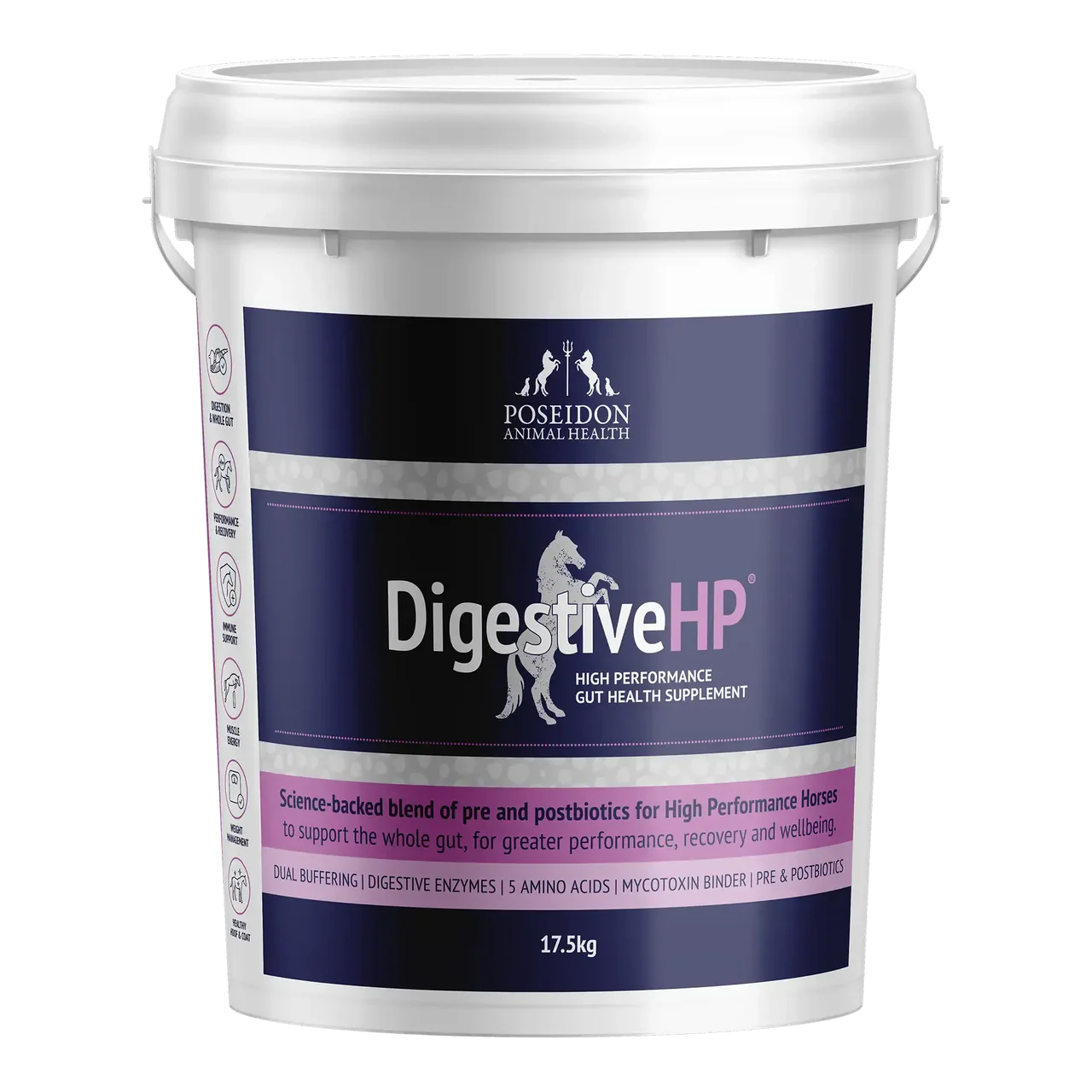 DIGESTIVE HP - PREVIOUSLY DIGESTIVE RP