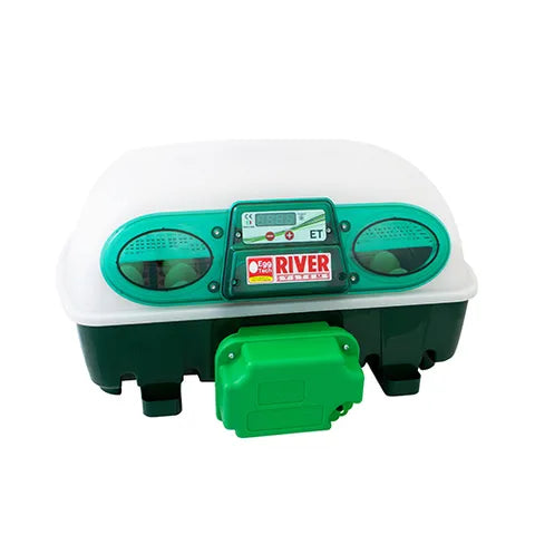 BAINBRIDGE POULTRY INCUBATOR