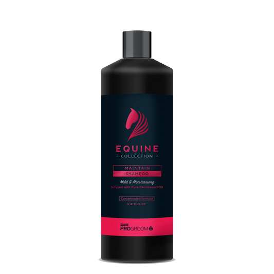 PROGROOM EQUINE MAINTAIN SHAMPOO