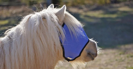 FLYVEILS BY DESIGN - BUDGET FLY VEIL