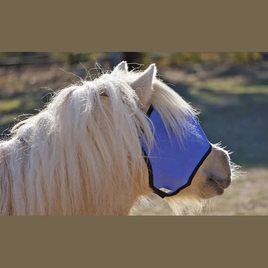 Shetland wearing flyveil