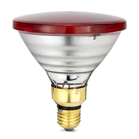 INFARED HEAT LAMP BULB - RED
