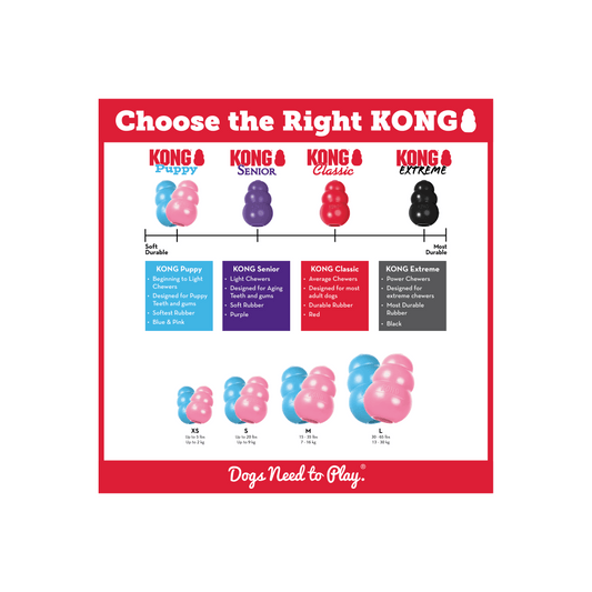 KONG PUPPY