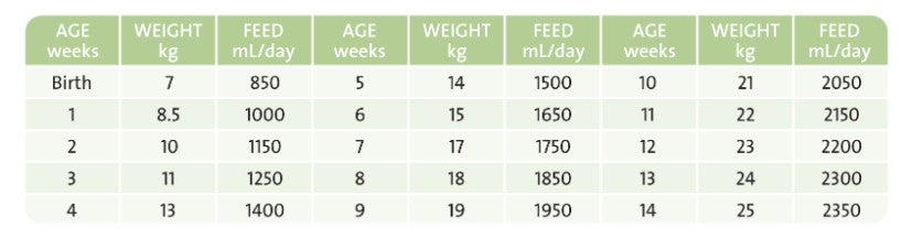 WOMBAROO ALPACA MILK 1KG