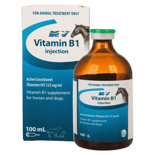 CEVA VITAMIN B1 100ml