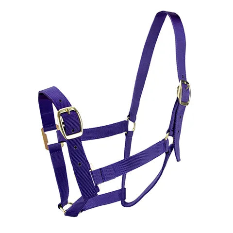 EQUINE HALTER