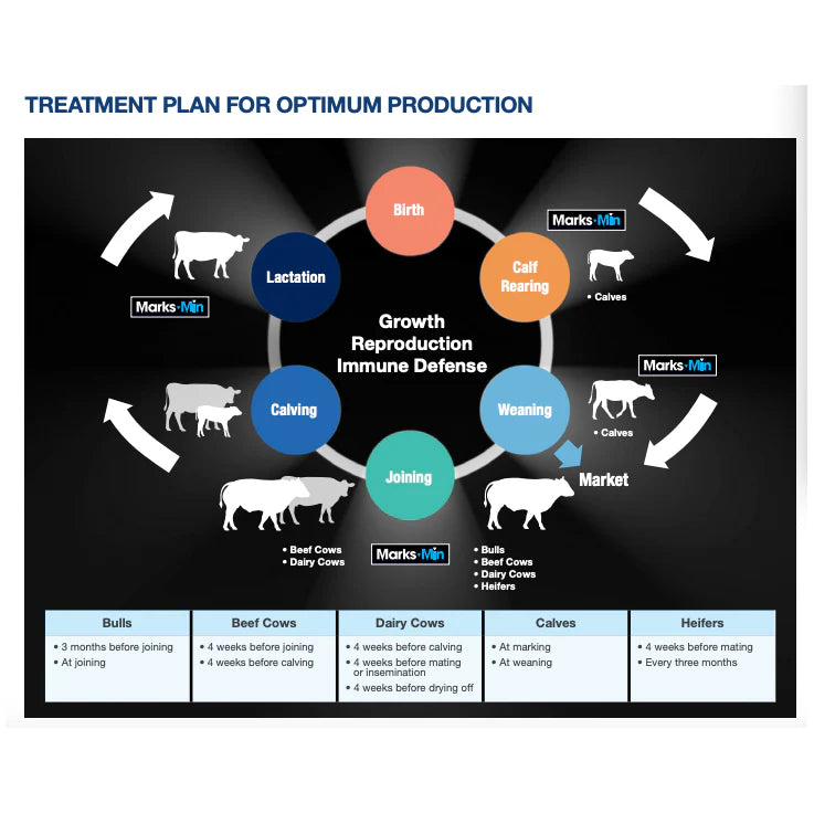 MARKS-MIN PLUS B12 FOR CATTLE
