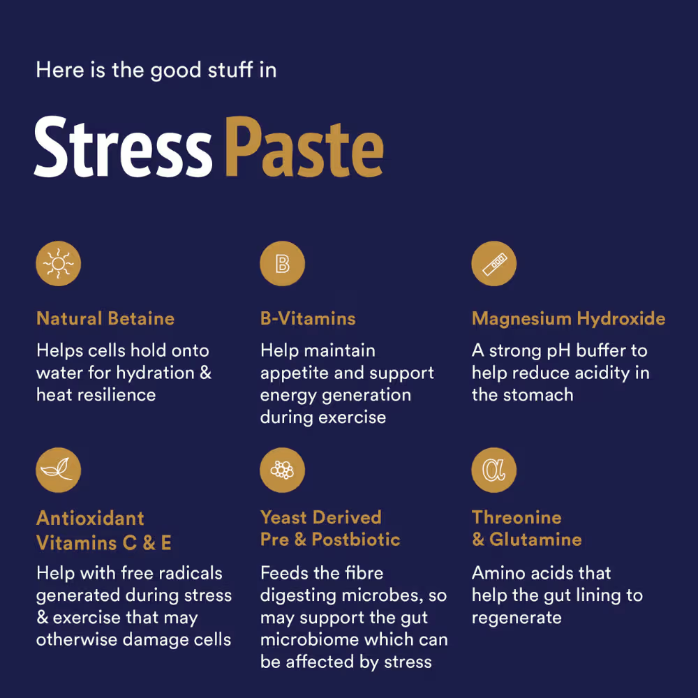 STRESS PASTE
