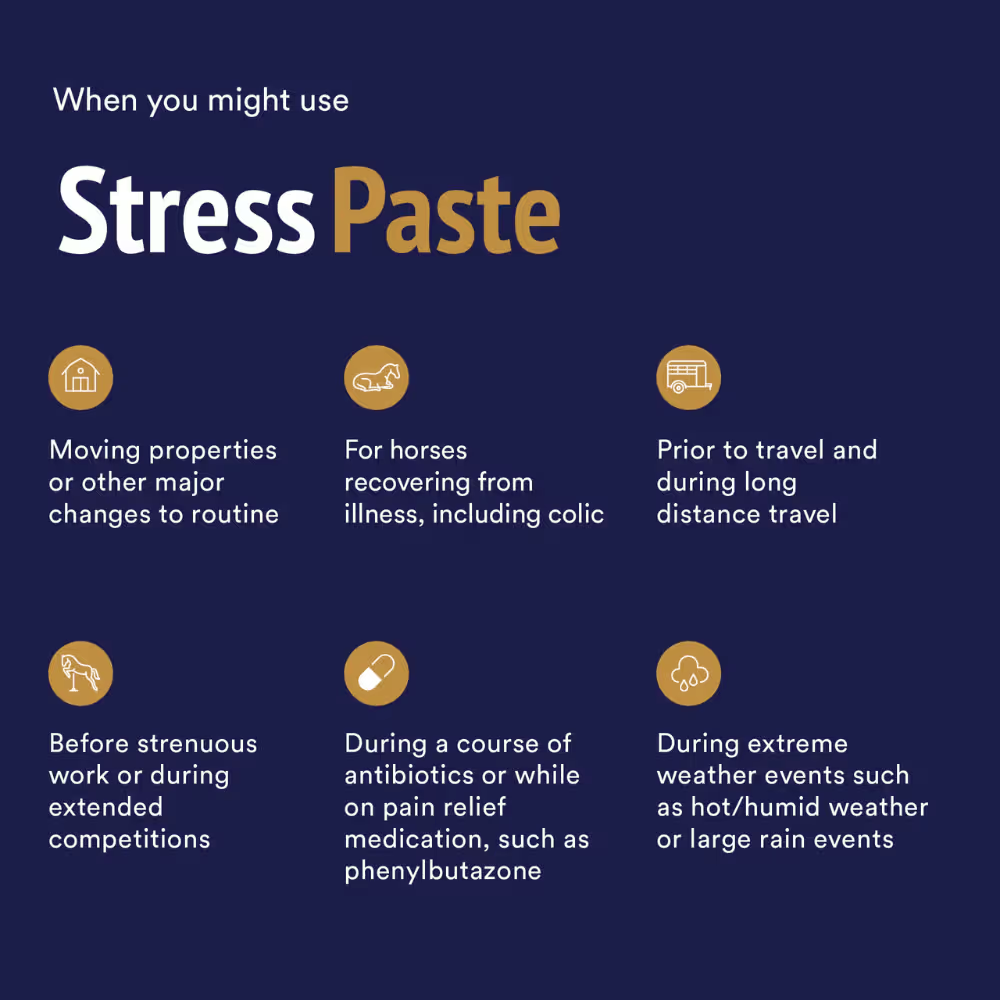 STRESS PASTE