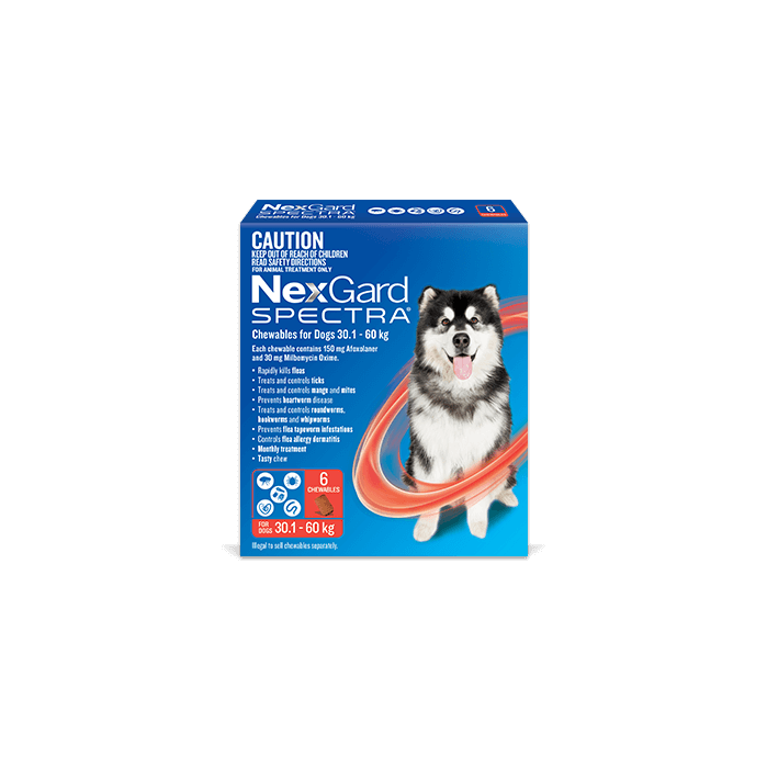 Nexgard red 6 pack outlet