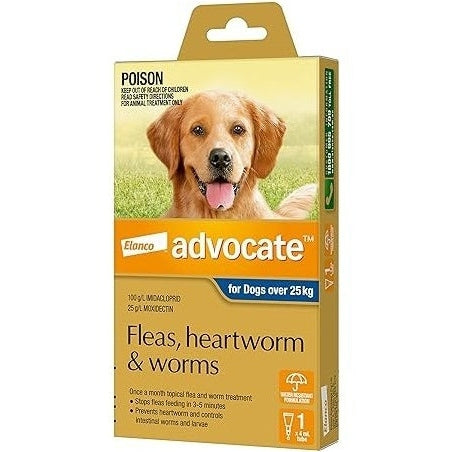 ADVOCATE DOG >25KG