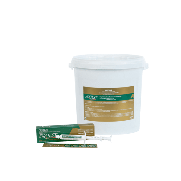 EQUEST GEL PLUS