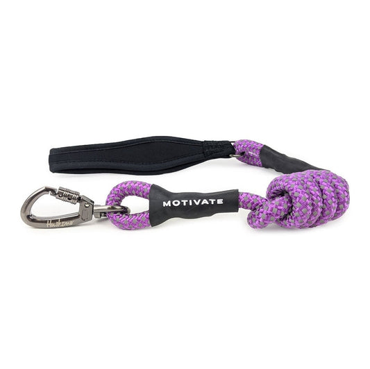 HUSKIMO DOG LEAD MOTIVATE