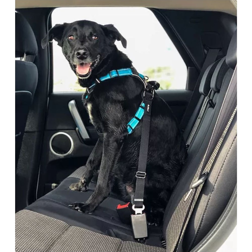 HUSKIMO DOG SPECIALIST CAR RESTRAINT EASYCLICK