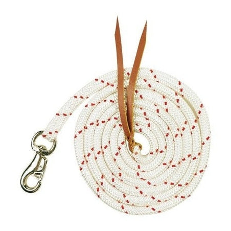 HORSEMANSHIP TRAINING LEAD W/BULL SNAP