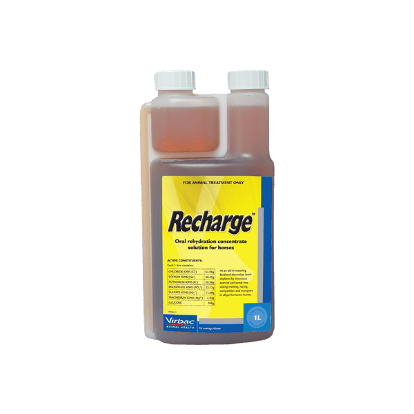 RECHARGE 1L