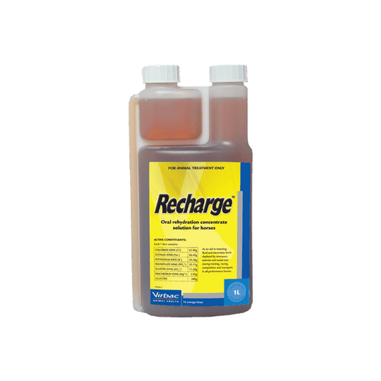RECHARGE 1L