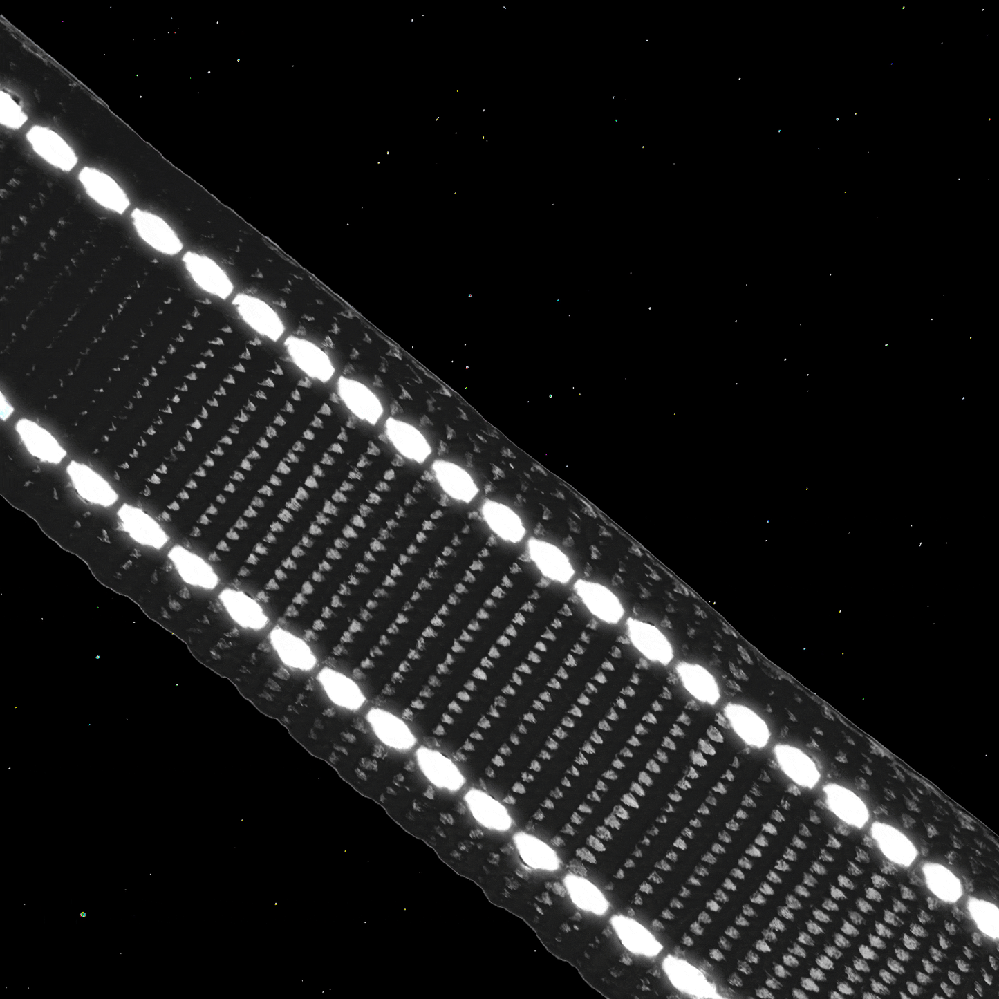 HUSKIMO DOG COLLAR TREKPRO