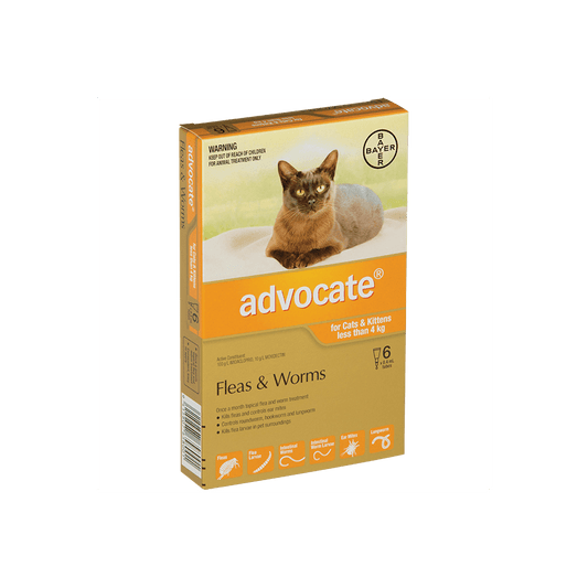 ADVOCATE CAT