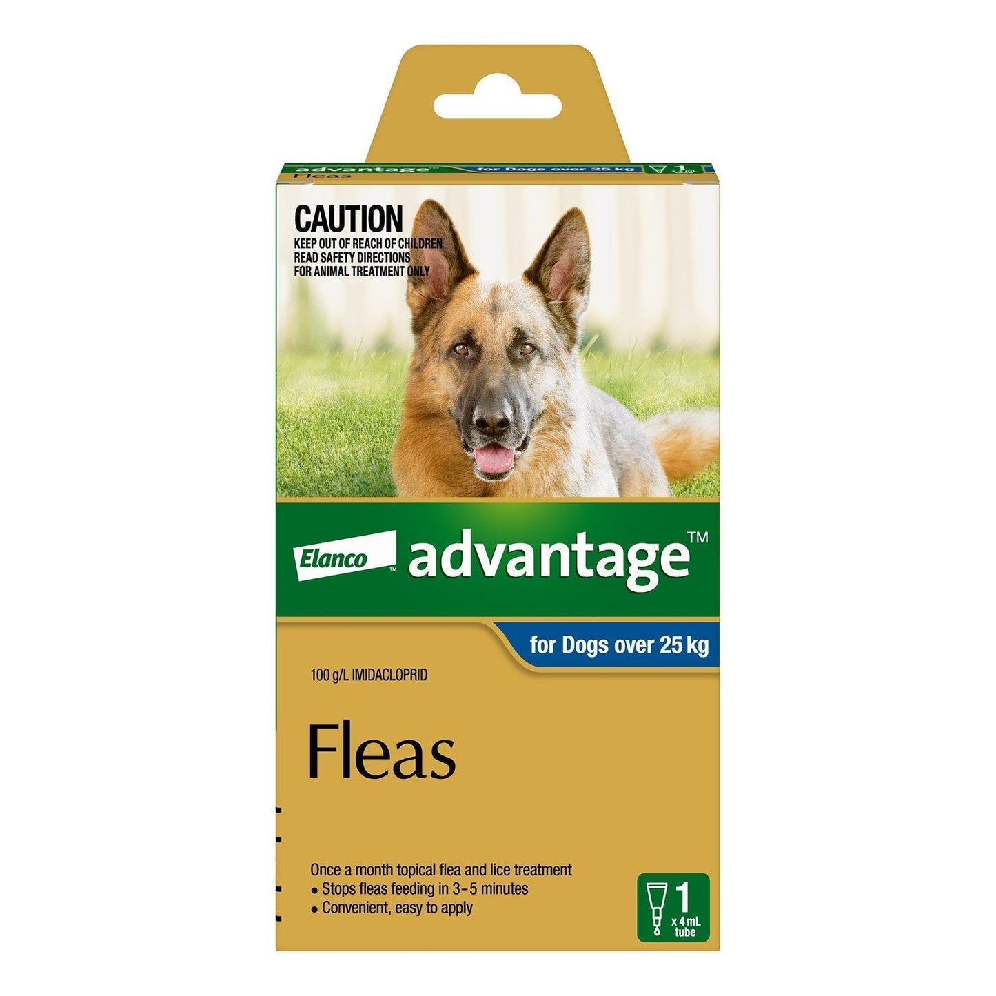 ADVANTAGE DOG
