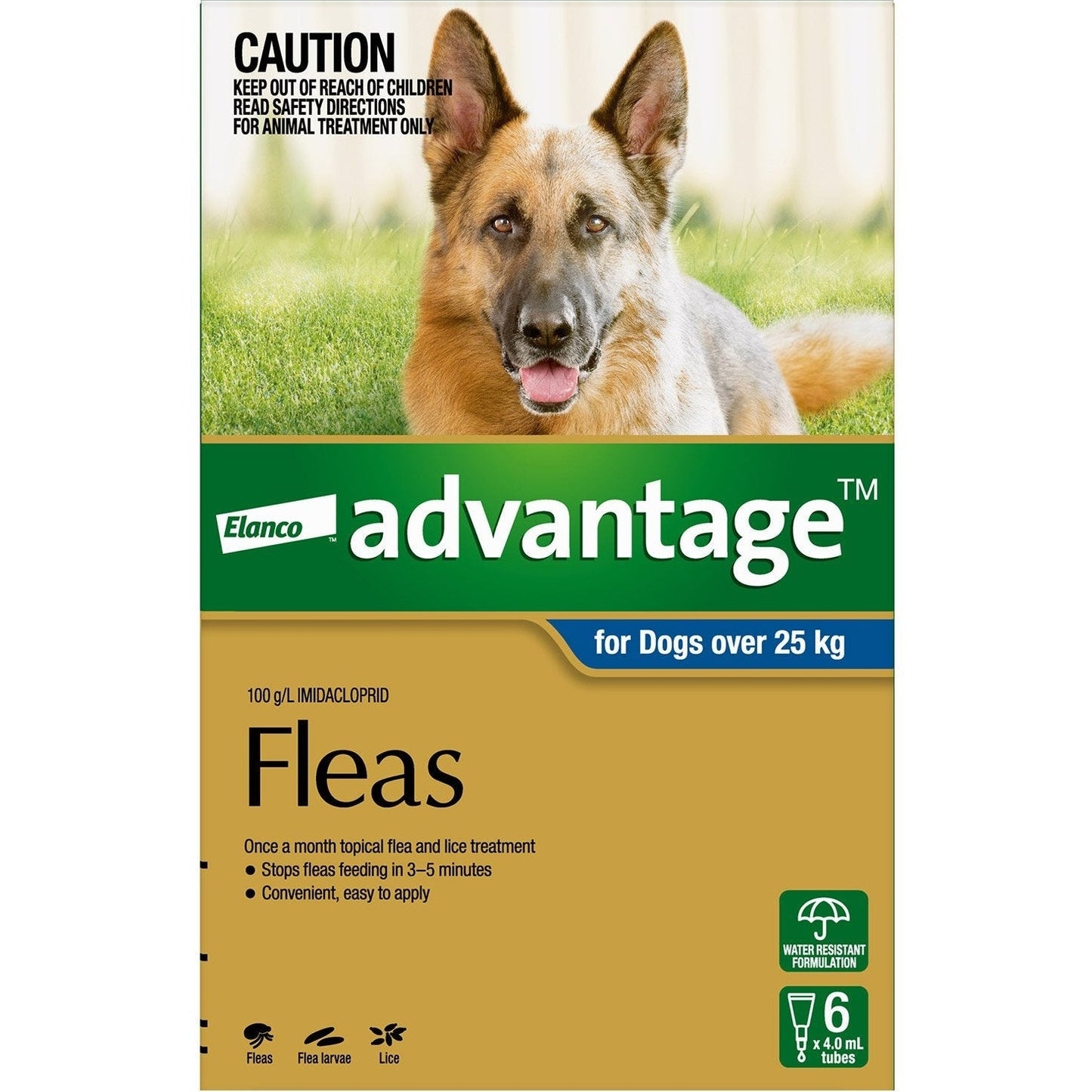 ADVANTAGE DOG