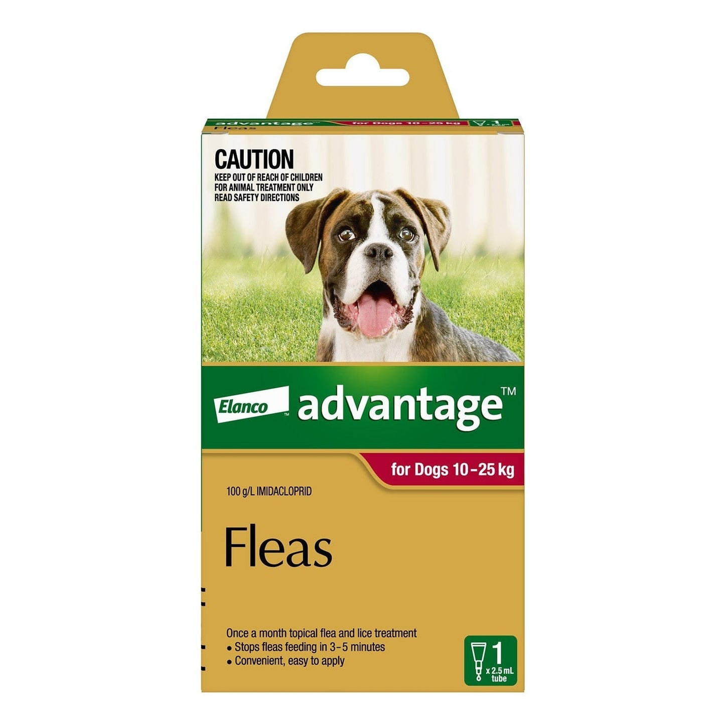 ADVANTAGE DOG