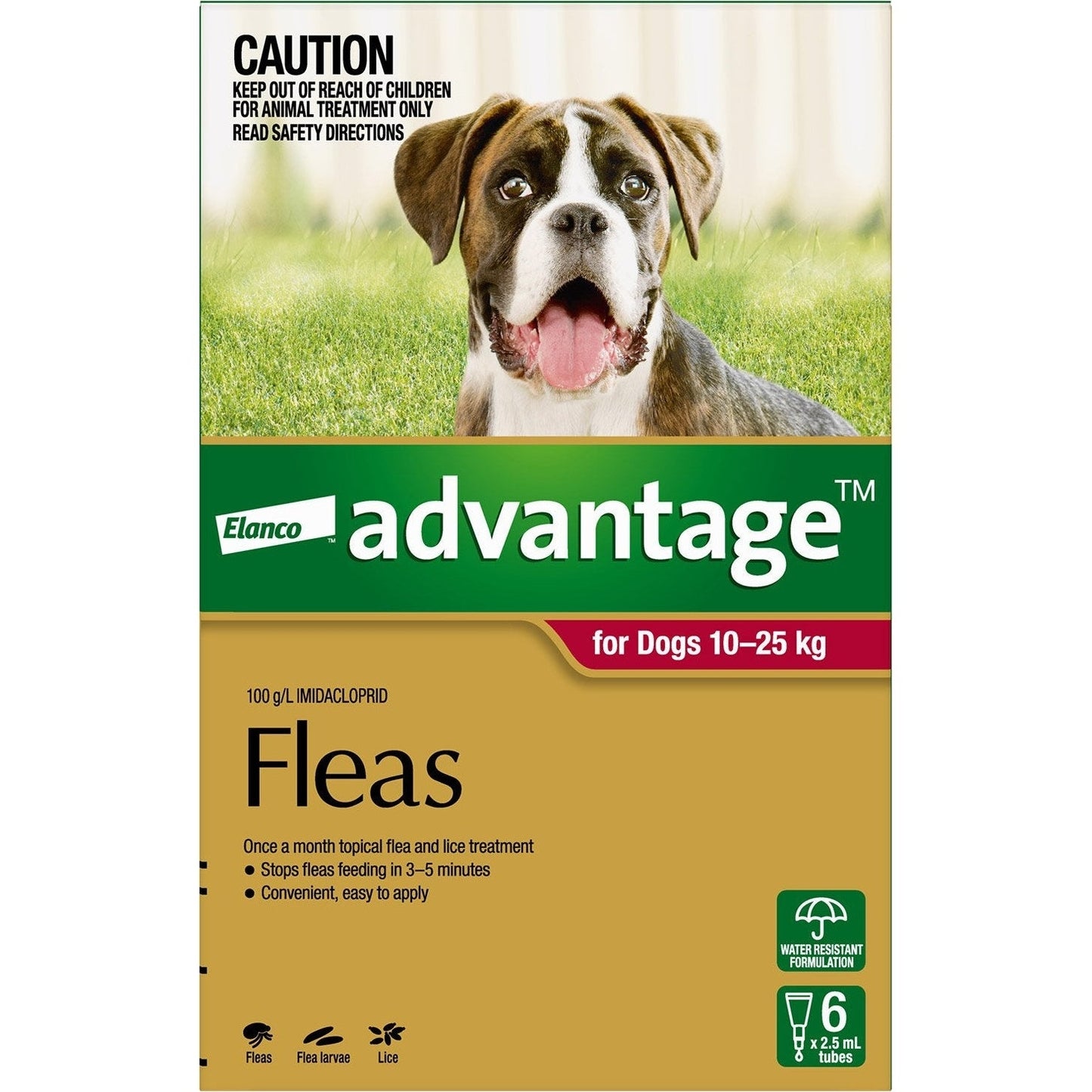 ADVANTAGE DOG