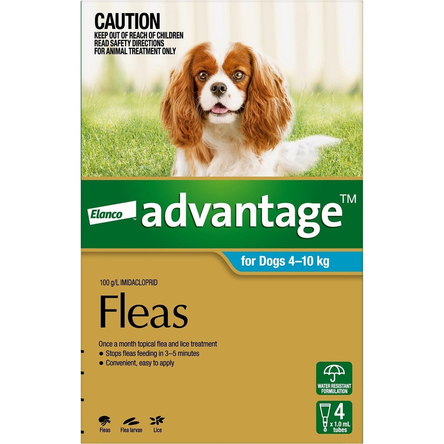 ADVANTAGE DOG