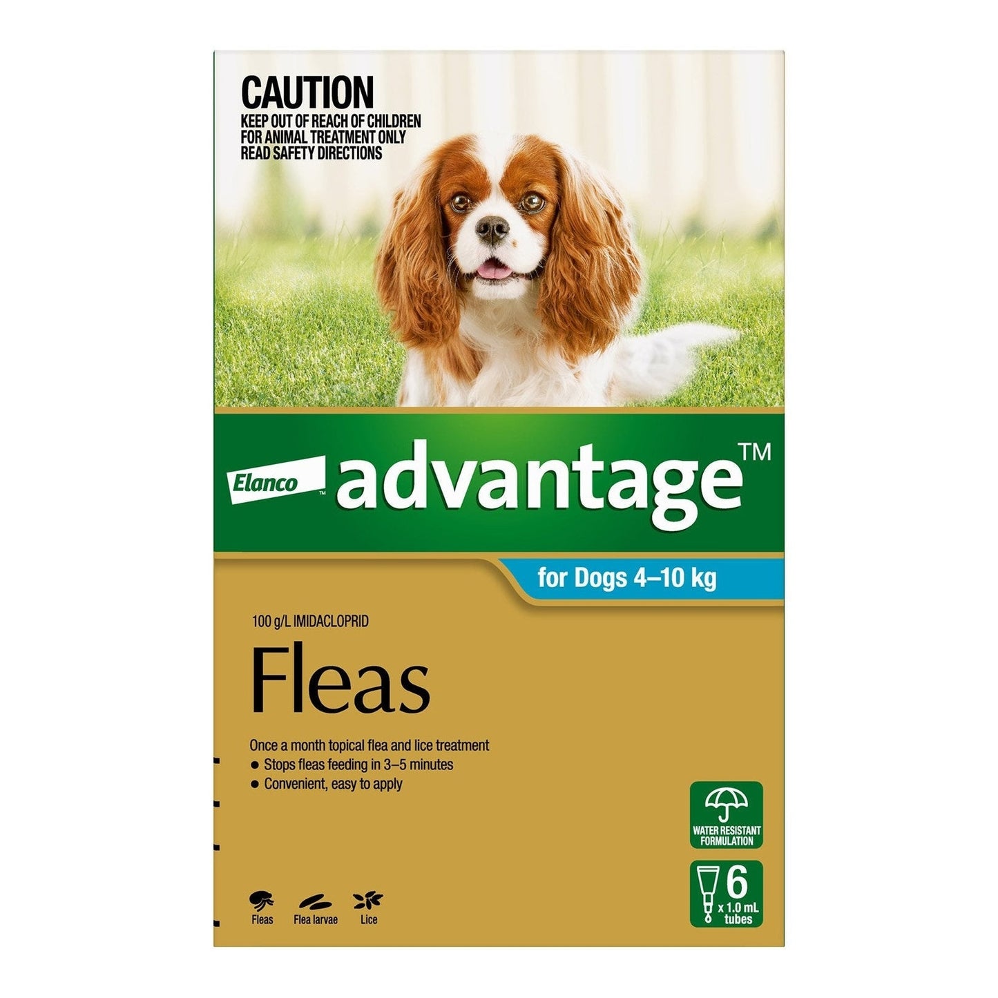 ADVANTAGE DOG
