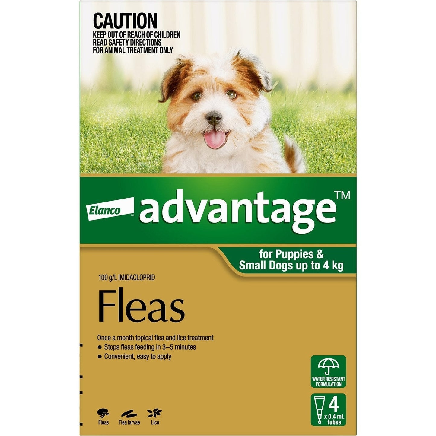 ADVANTAGE DOG
