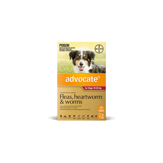 ADVOCATE DOG