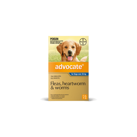 ADVOCATE DOG