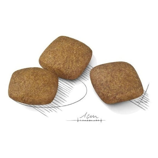 ROYAL CANIN K9 MAXI RELAX CARE 9KG