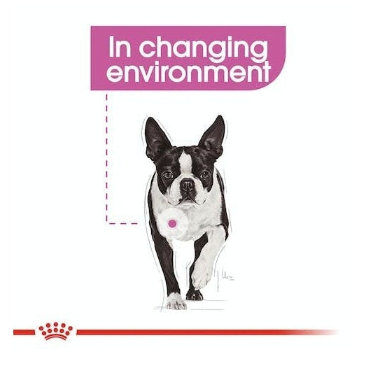 ROYAL CANIN K9 MINI RELAX CARE 3KG