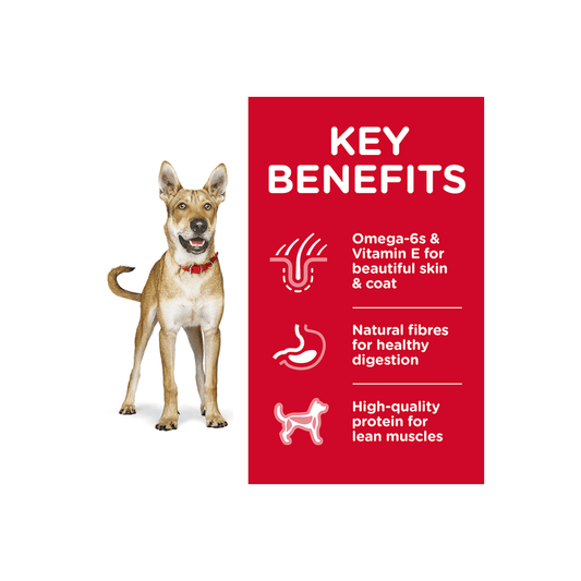 HILL'S SCIENCE DIET K9 ADULT CHICKEN & BARLEY