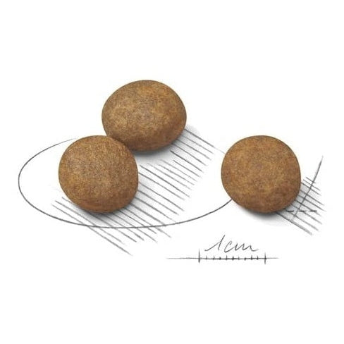 ROYAL CANIN K9 MAXI PUPPY