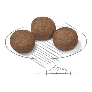 ROYAL CANIN K9 MEDIUM PUPPY