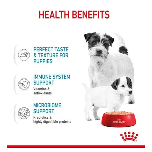 ROYAL CANIN K9 STARTER MOUSSE 195g 12s CANS