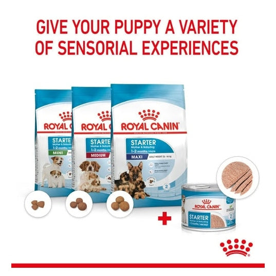ROYAL CANIN K9 STARTER MOUSSE 195g 12s CANS