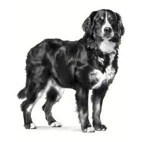 ROYAL CANIN K9 MATURE LARGE DOG 14KG