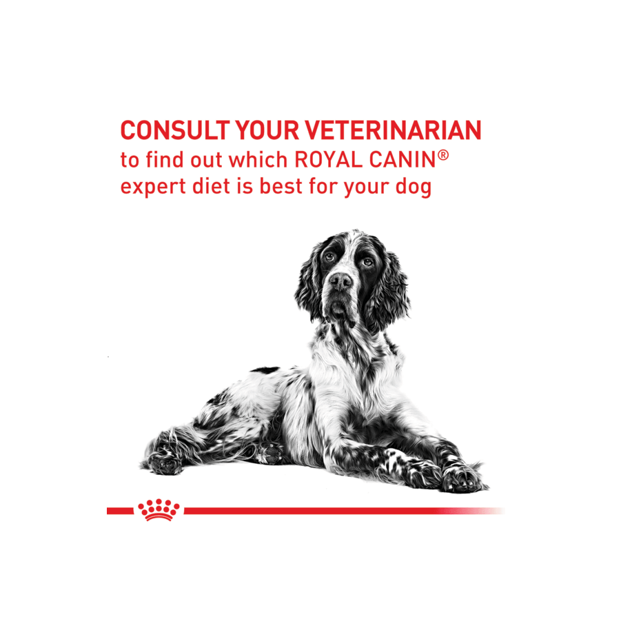ROYAL CANIN K9 MATURE CONSULT DOG 85G 12s POUCH