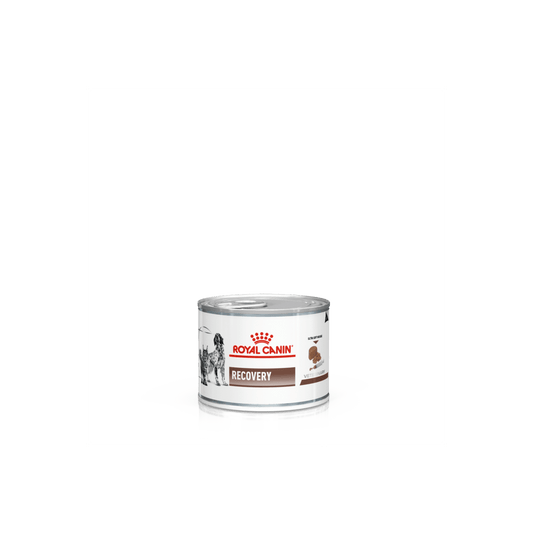 ROYAL CANIN K9 & FELINE RECOVERY 195GM 12s